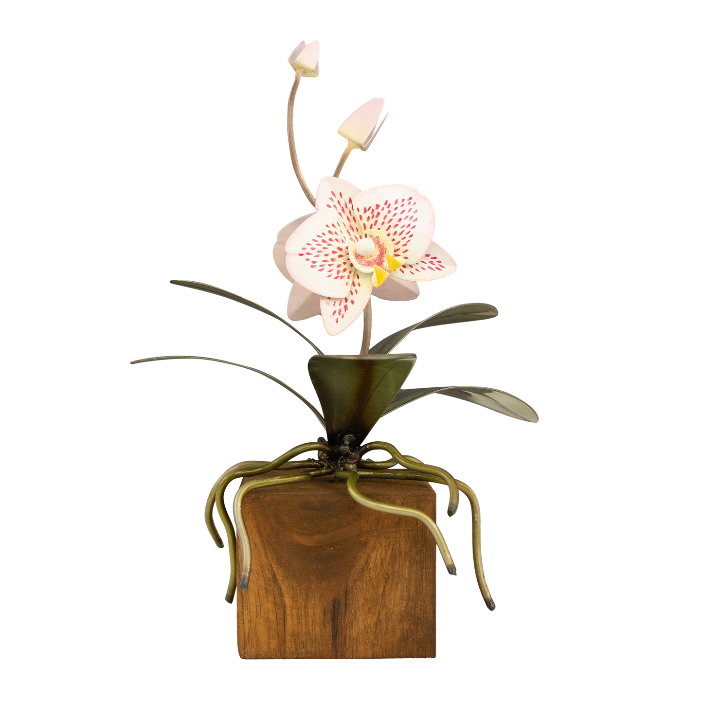 Phalaenopsis Orchid Sculpture