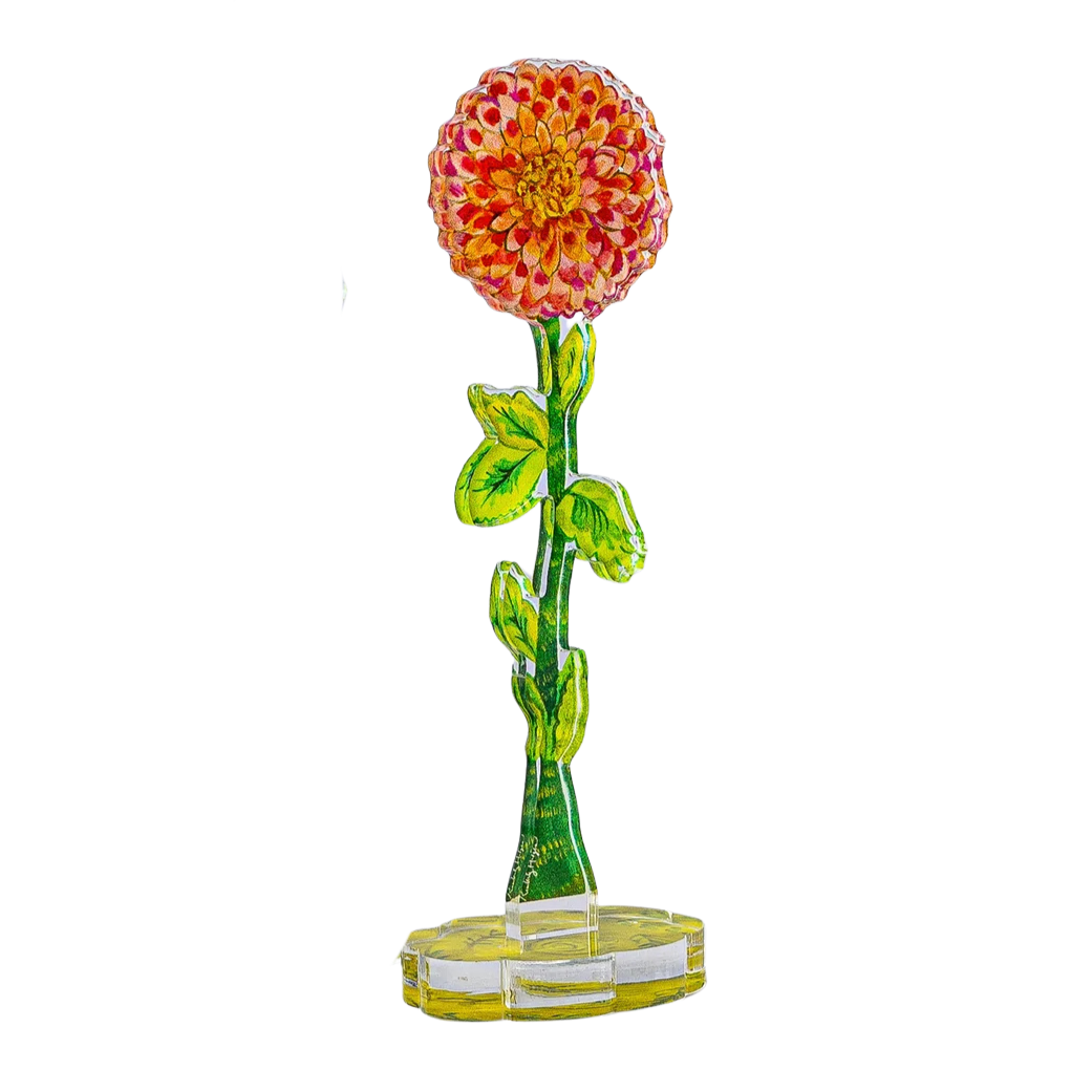 Dahlia Acrylic Stem