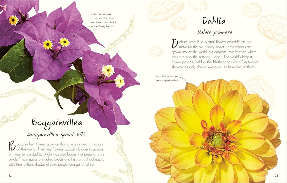 Anthology Flowers