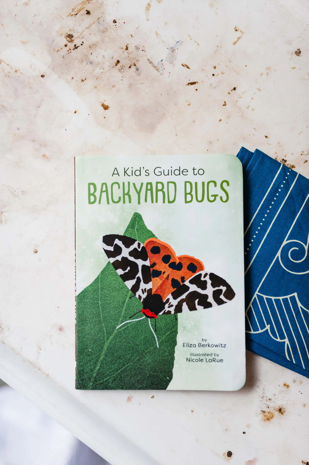 A Kid's Guide to Backyard Bugs