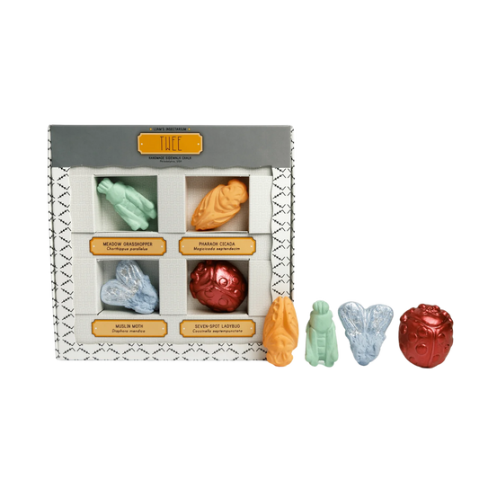 Liam's Insectarium Handmade Sidewalk Chalk