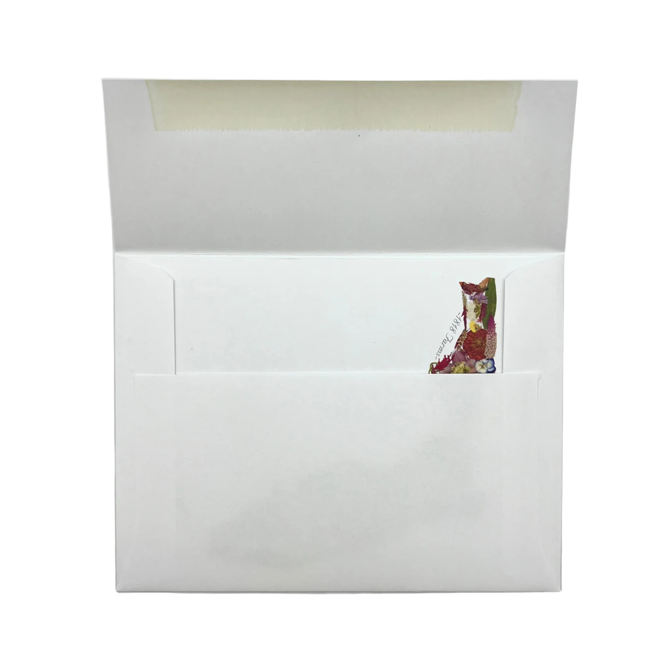 Where I Bloom Florida Card Set