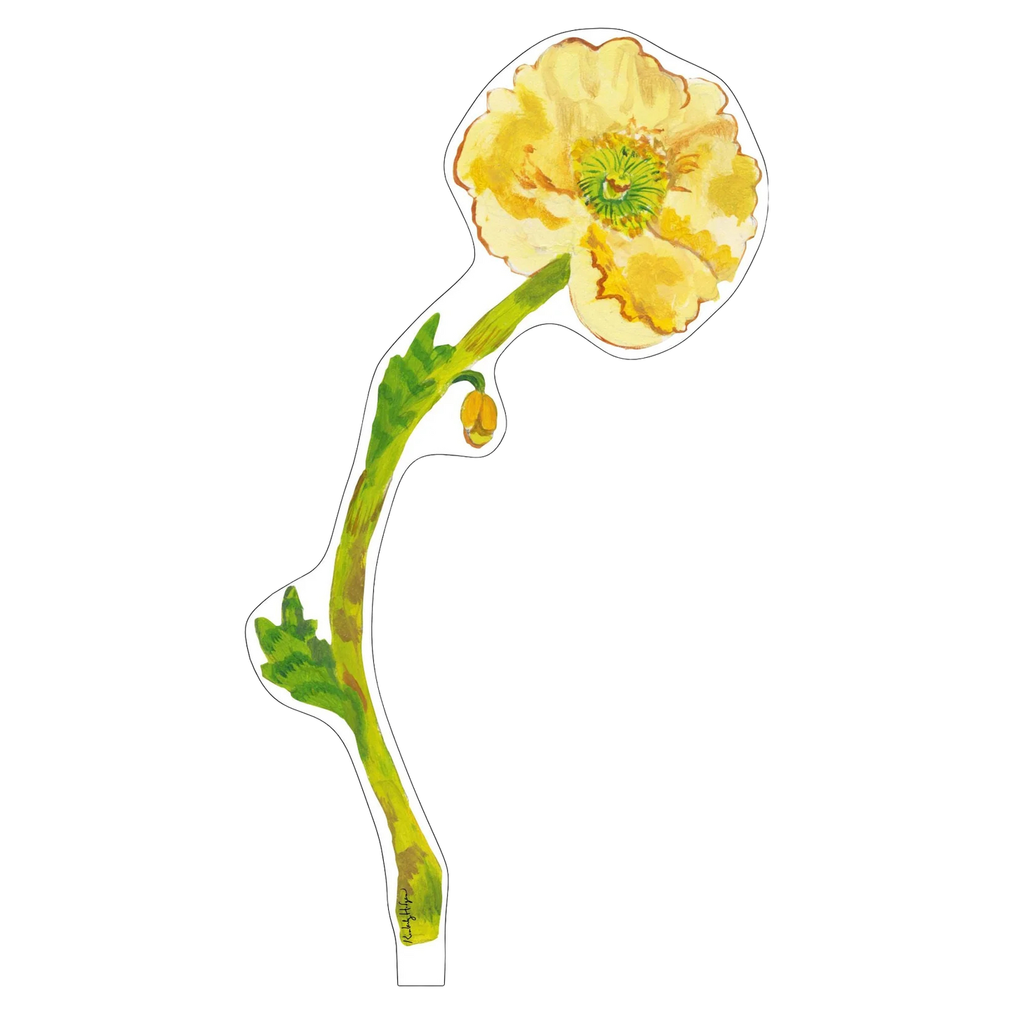 Icelandic Poppy Acrylic Stem