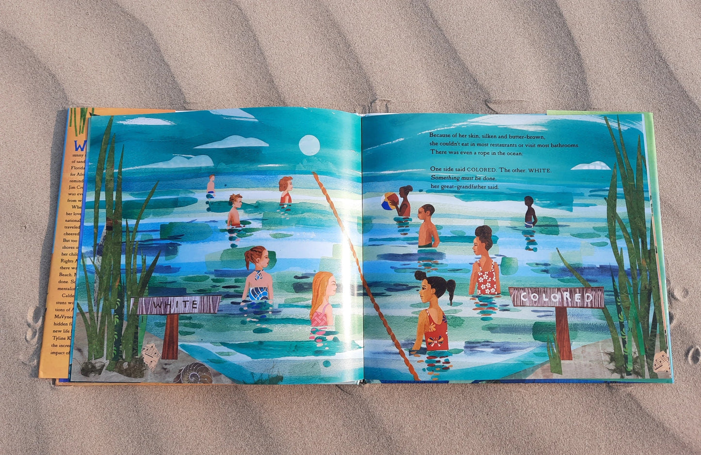 Saving American Beach