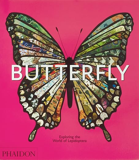 Butterfly: Exploring the World of Lepidoptera