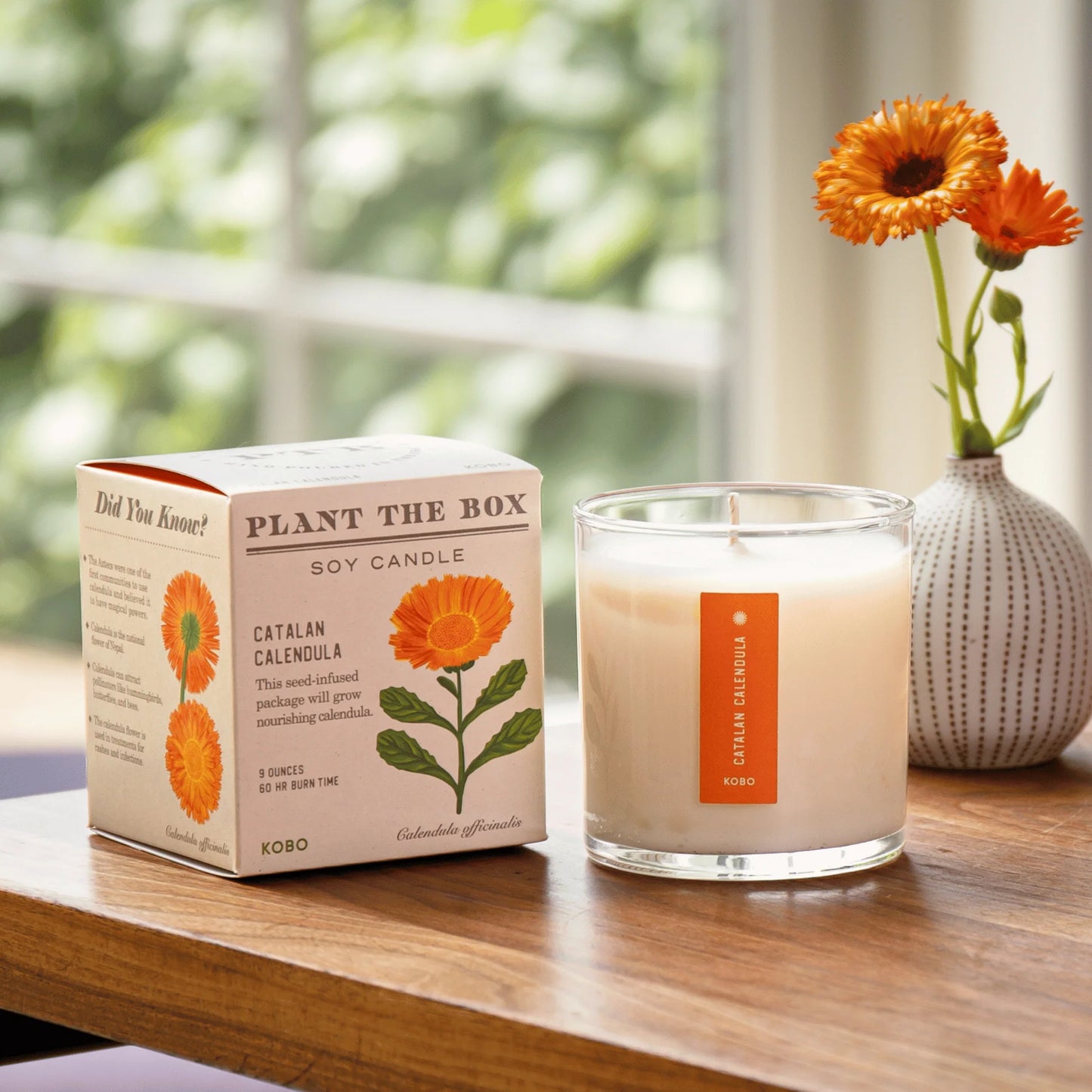 Plant the Box Soy Candle - Catalan Calendula