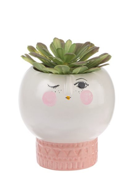 Short Peep Planter