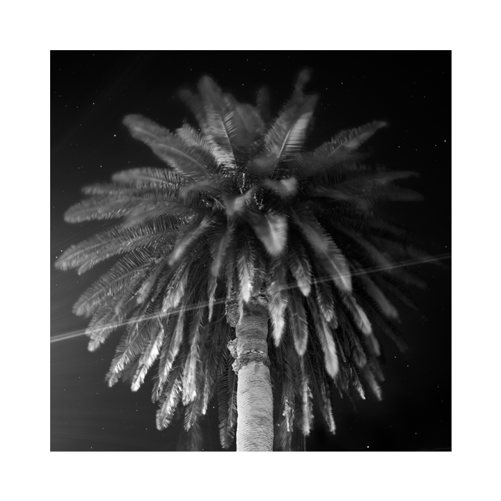 Loose Ends Cummer Museum Shop