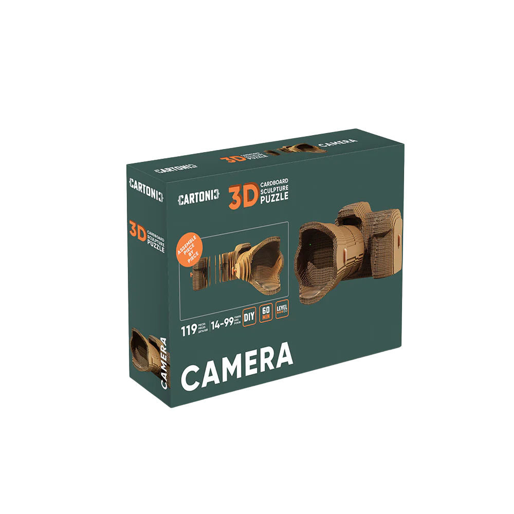 3D Camera Puzzle