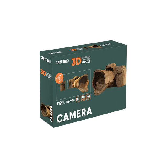 3D Camera Puzzle