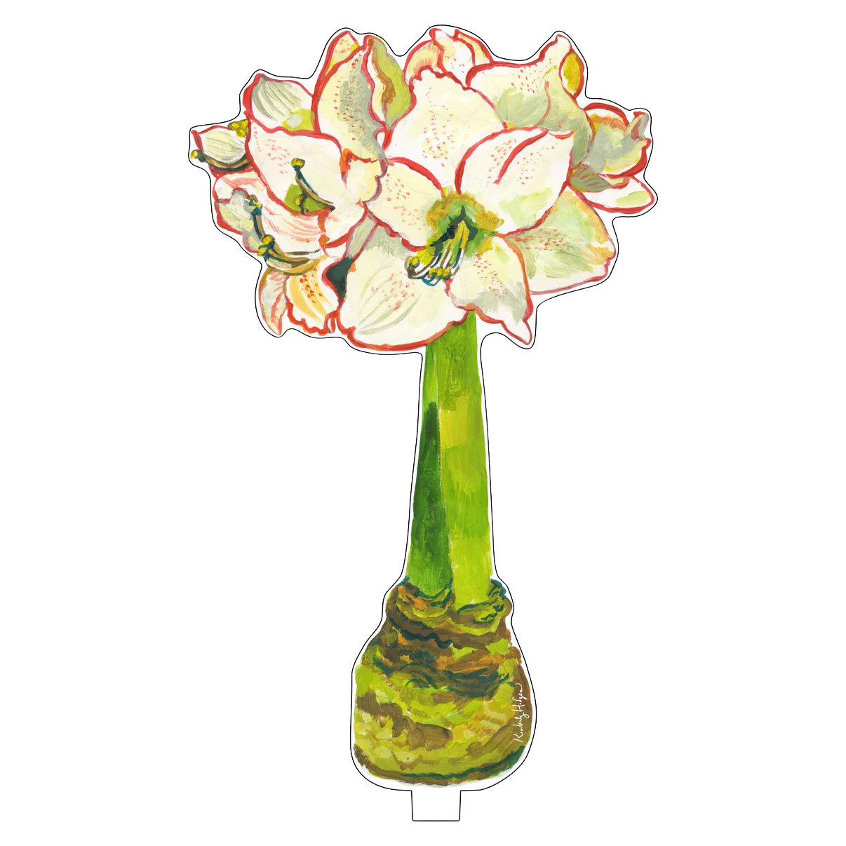 Amaryllis Acrylic Holiday Decor