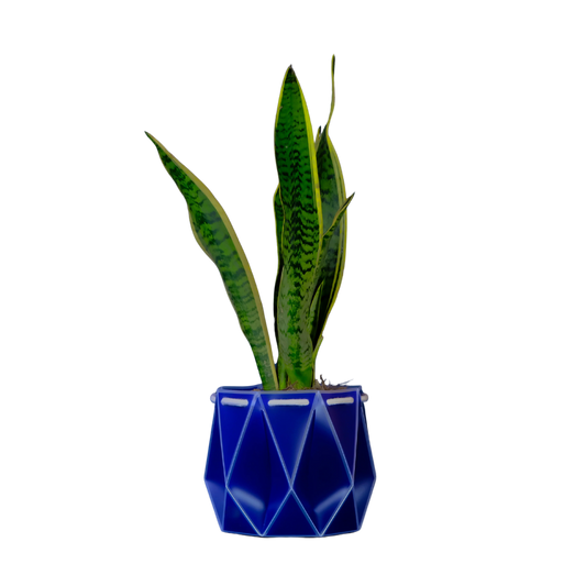 Self Watering Plant Pot - Navy 18cm