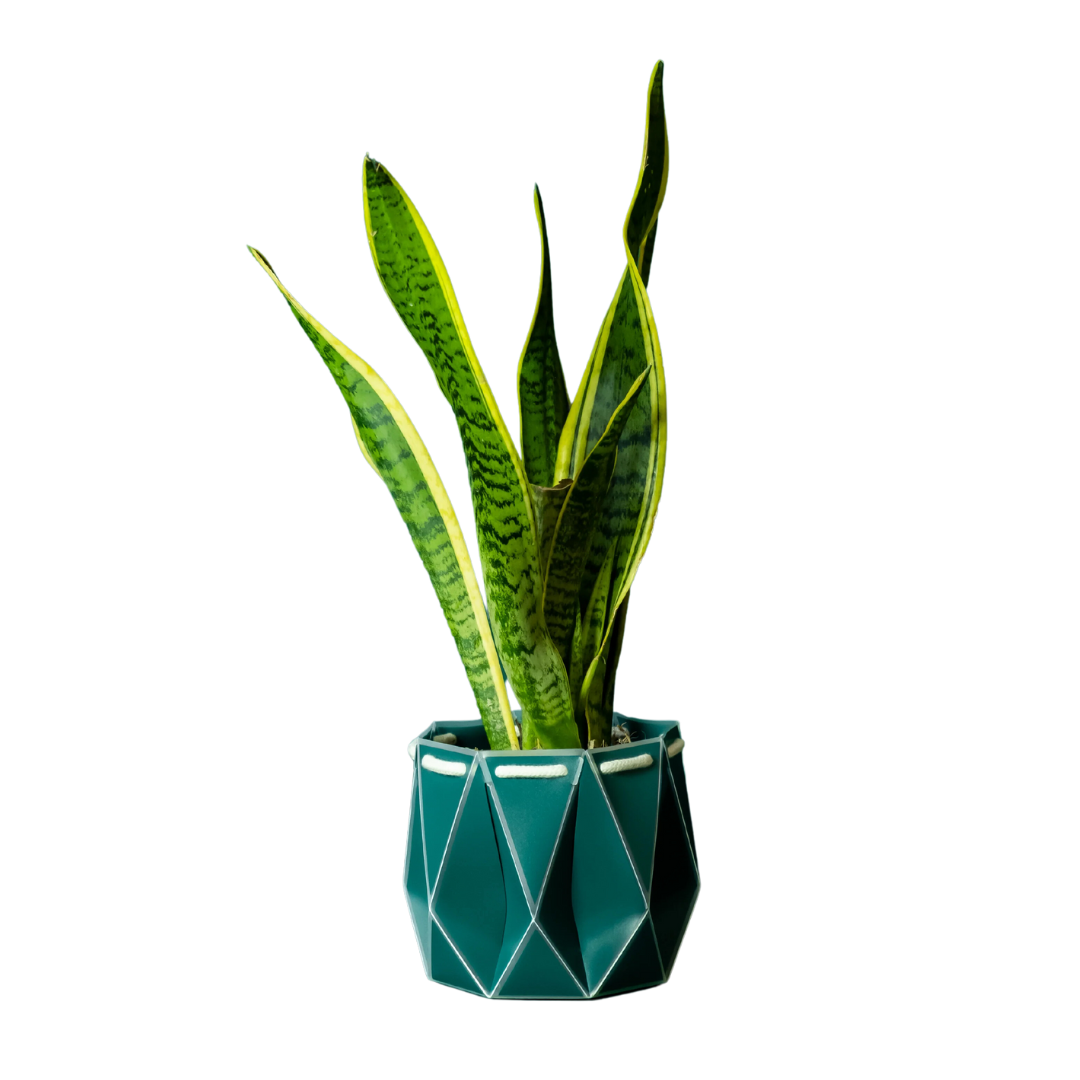 Self Watering Plant Pot - Dark Teal 18cm