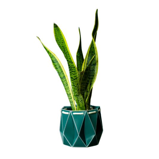 Self Watering Plant Pot - Dark Teal 18cm