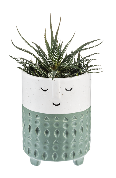 Tall Face Planter with Green Stripe