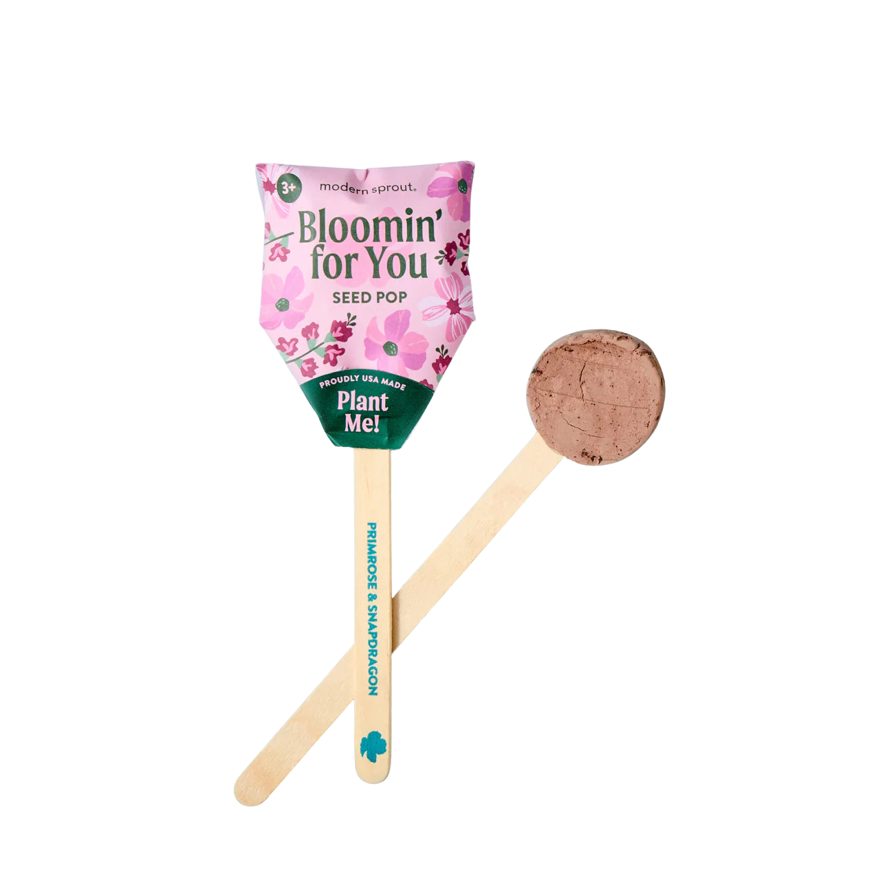 Seed Pops - Flower