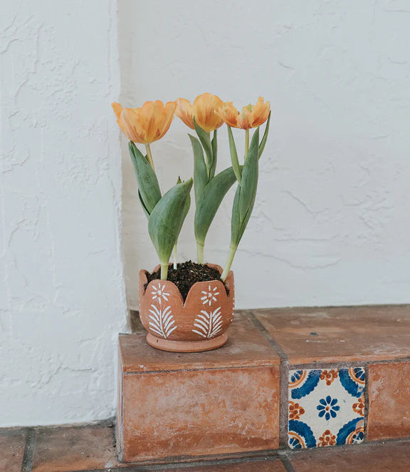 Vasanta Petals Terracotta Planter