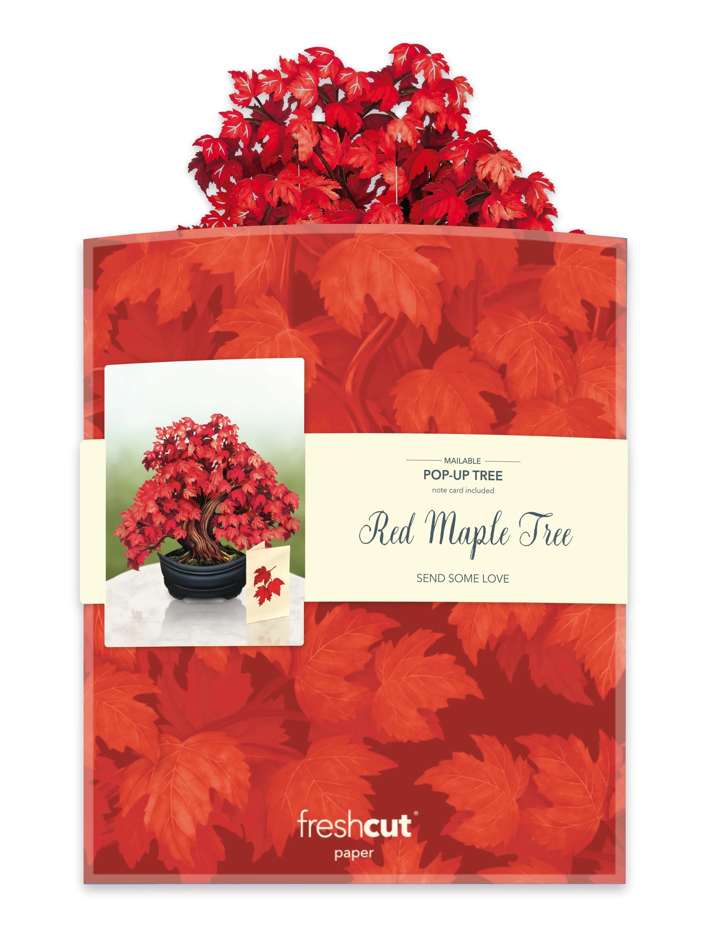 Red Maple Tree Pop-Up Bouquet Card