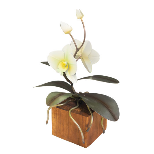 Phalaenopsis Orchid Sculpture