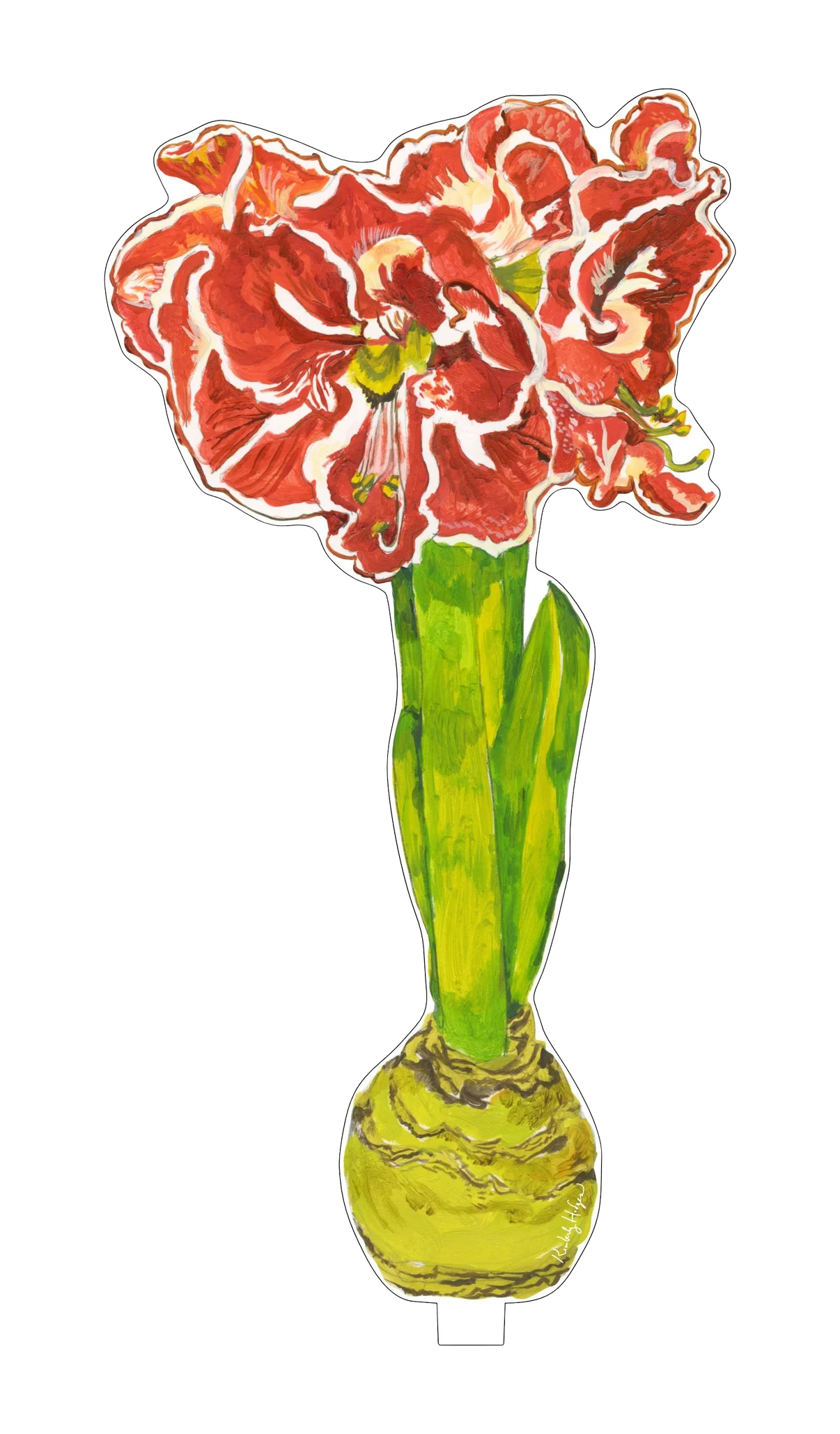 Amaryllis Acrylic Holiday Decor