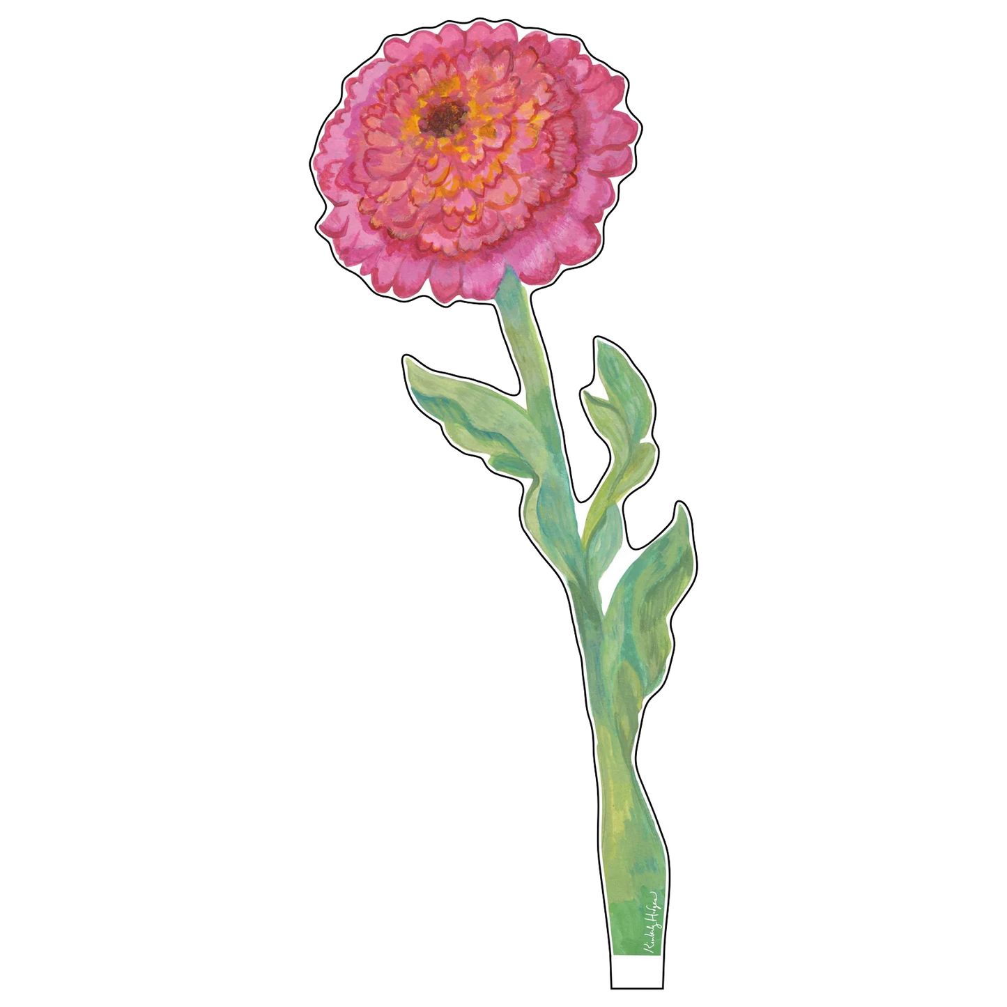 Zinnia Acrylic Stem