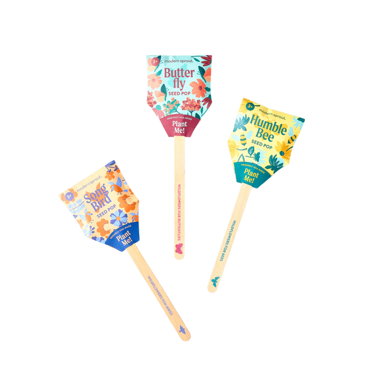 Seed Lolipop - Pollinator