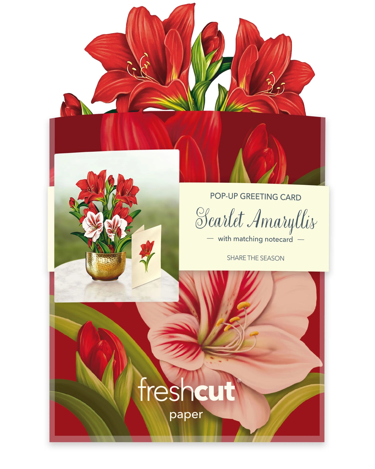 Scarlet Amaryllis Mini Pop-Up Bouquet Card