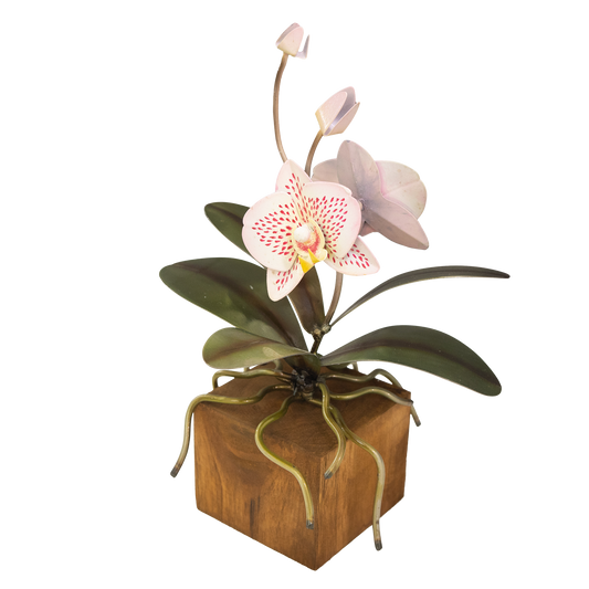 Phalaenopsis Orchid Sculpture
