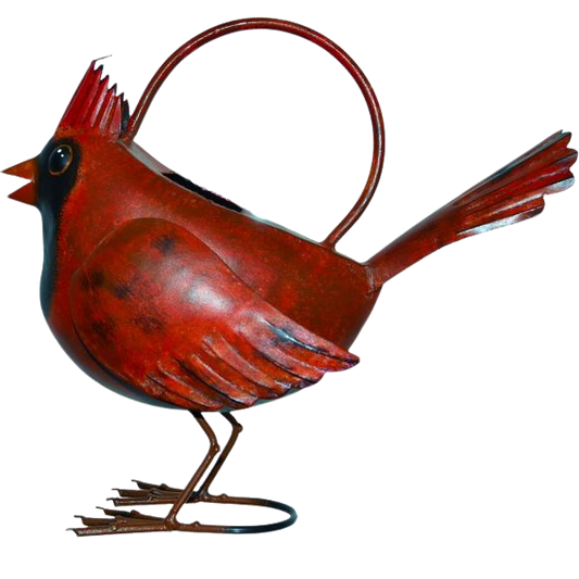 Cardinal Watering Can