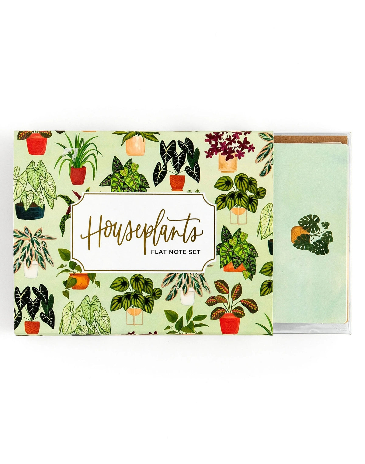 Houseplants Flat Note Set