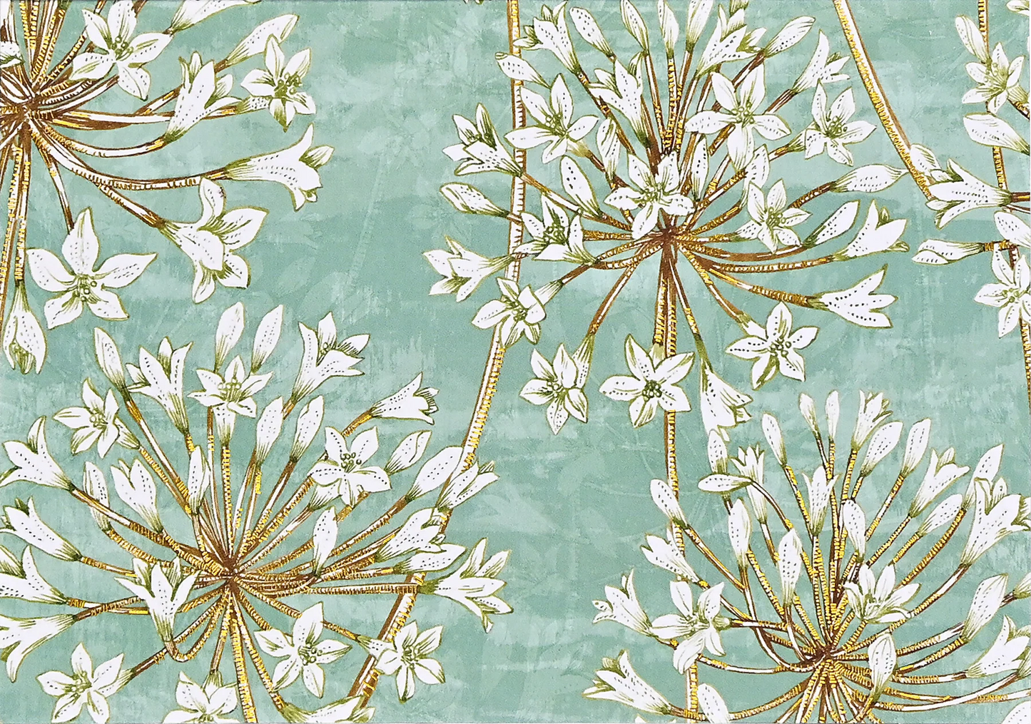 Allium Boxed Notecards