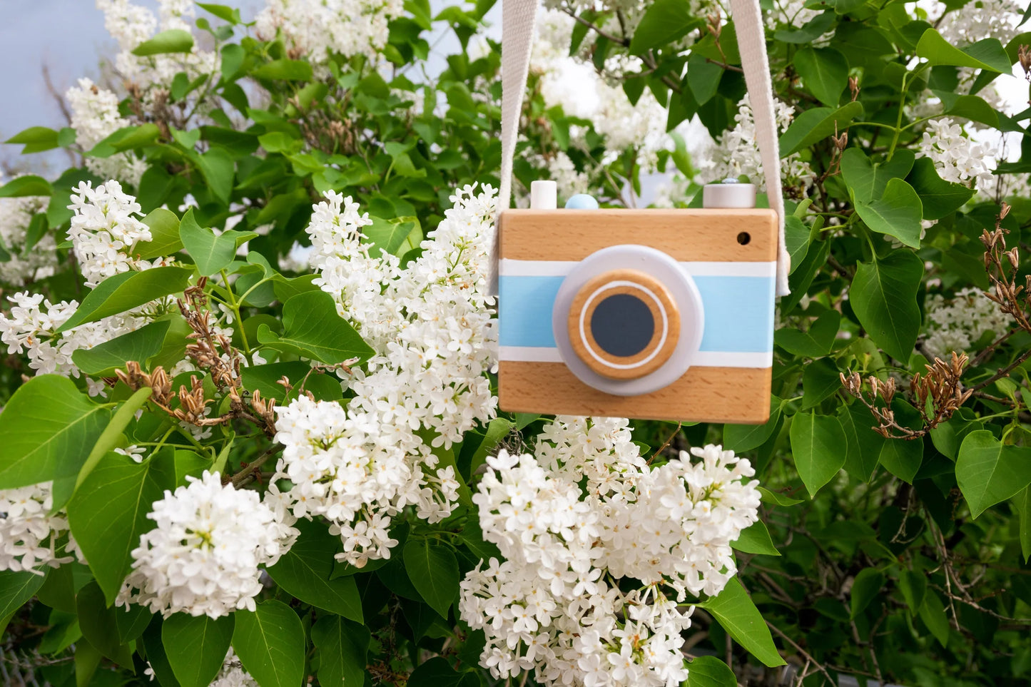 Vintage Camera Music Box