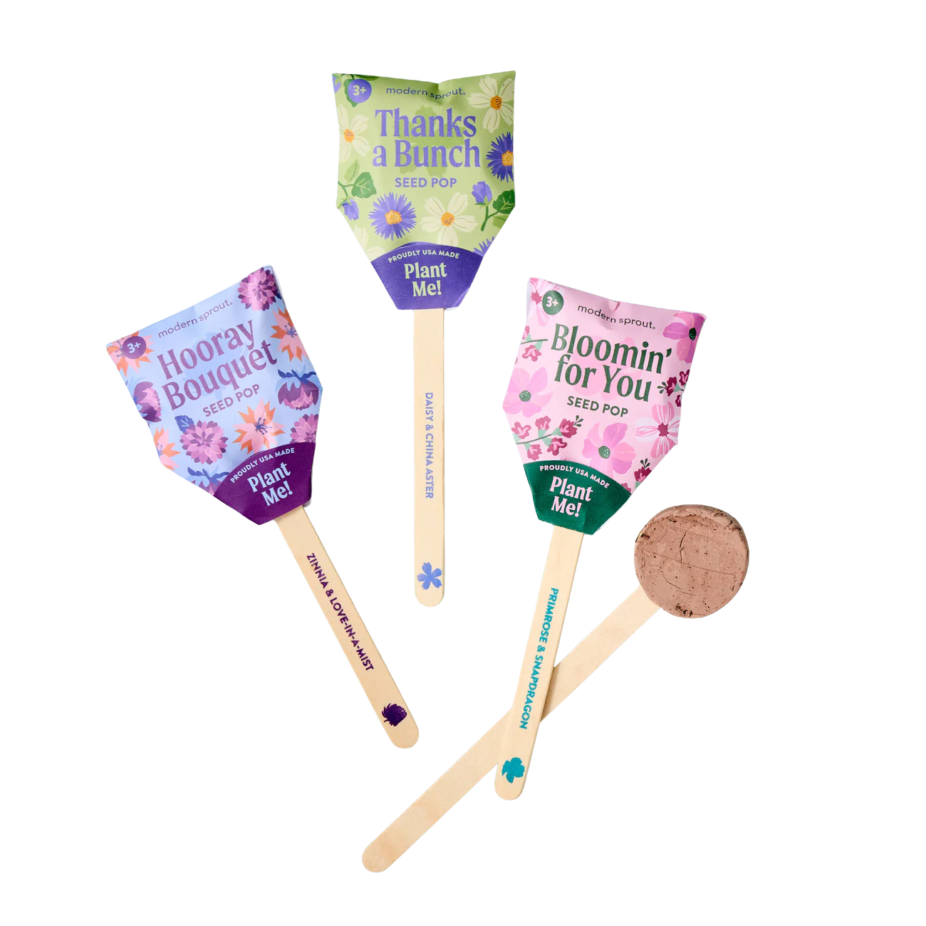 Seed Pops - Flower