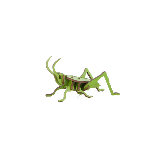 Cricket 3D Wood Puzzle