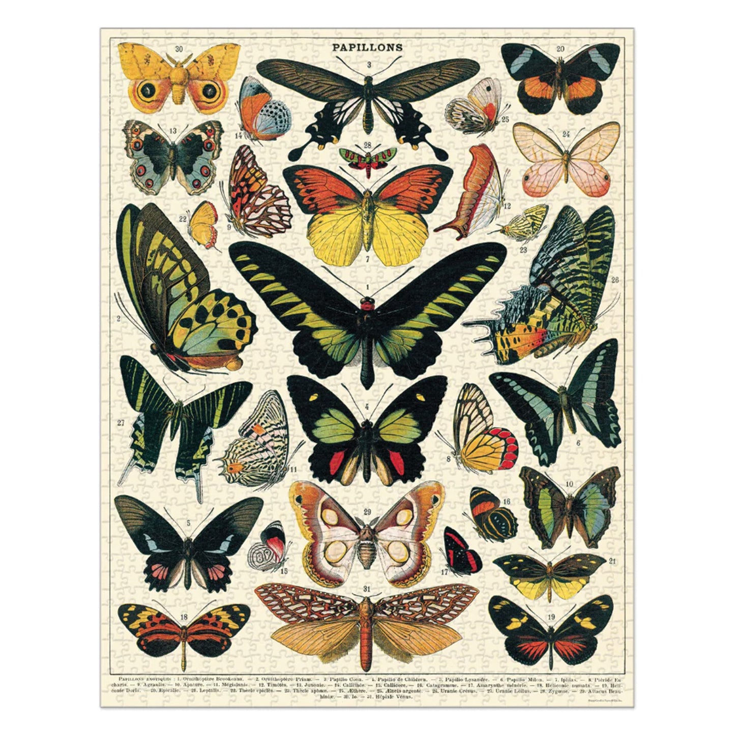 Butterflies 1000 Piece Vintage Puzzle