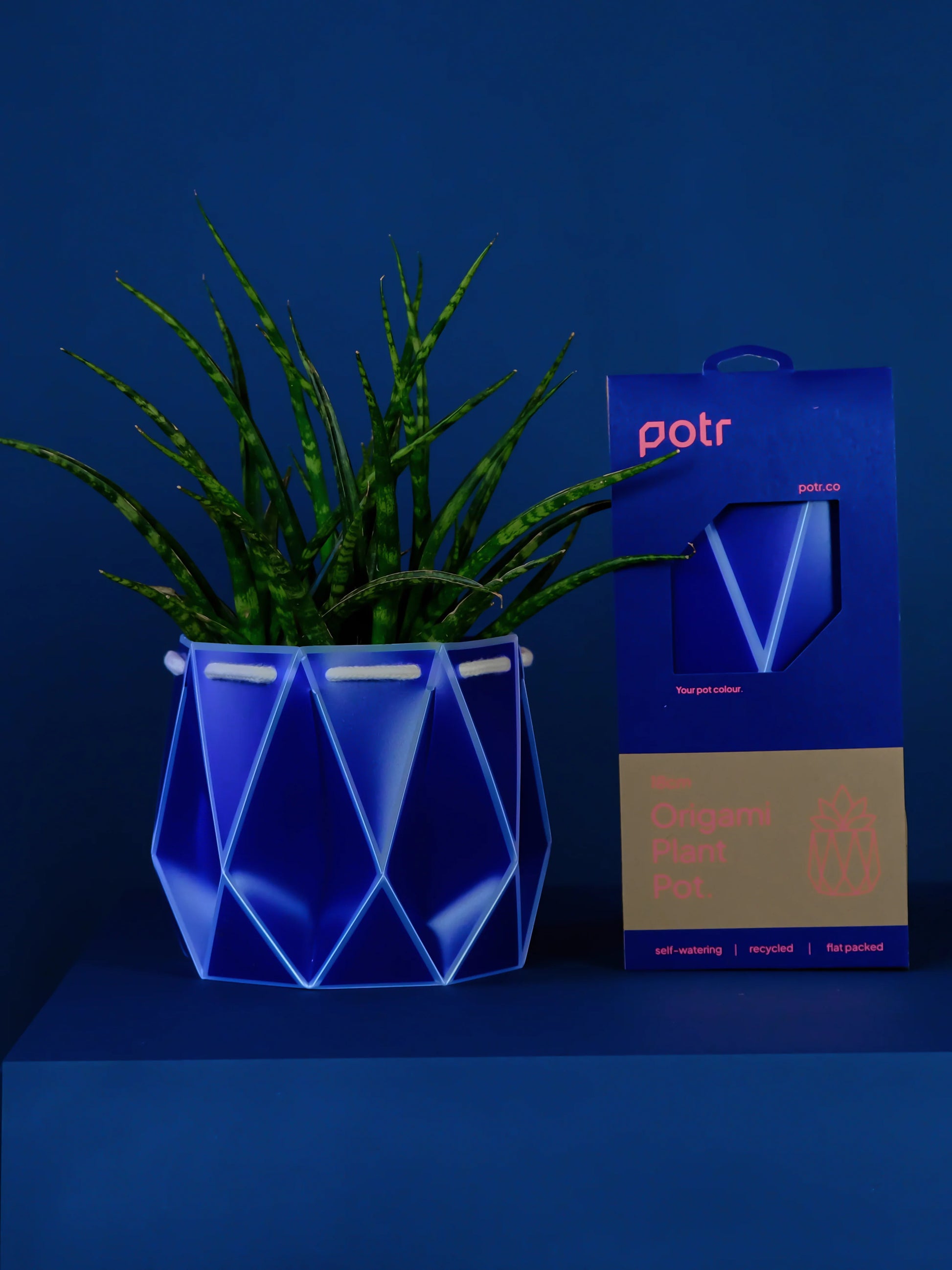 navy blue plant pots Self Watering Plant Pot