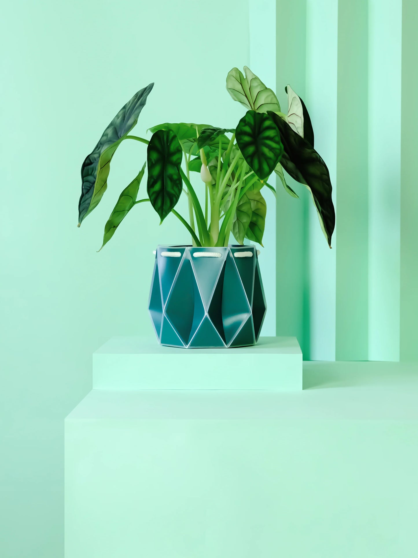 Self Watering Plant Pot - Dark Teal 18cm