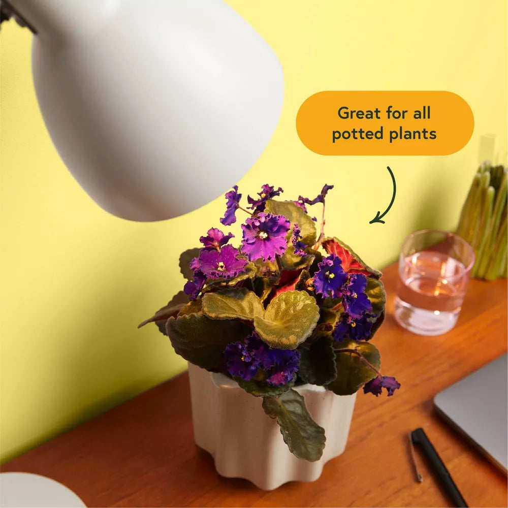 Instant Sun Grow Bulb