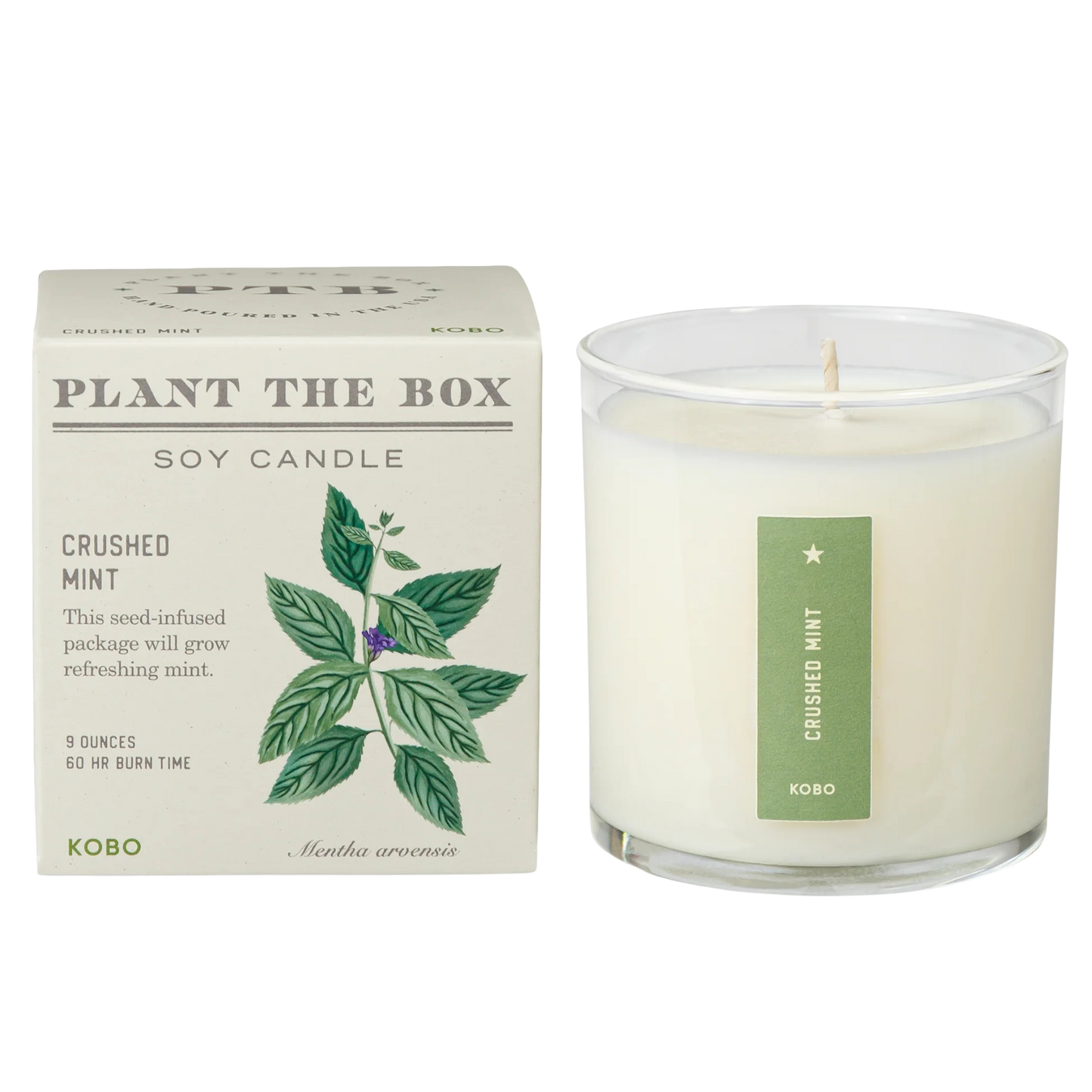 Plant the Box Soy Candle - Crushed Mint