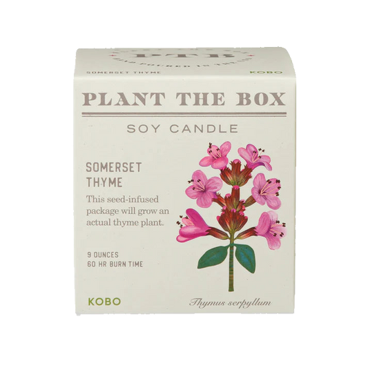 Plant the Box Soy Candle - Somerset Thyme