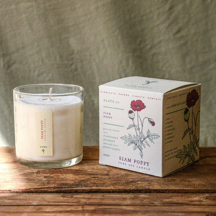 Plant the Box Soy Candle - Siam Poppy