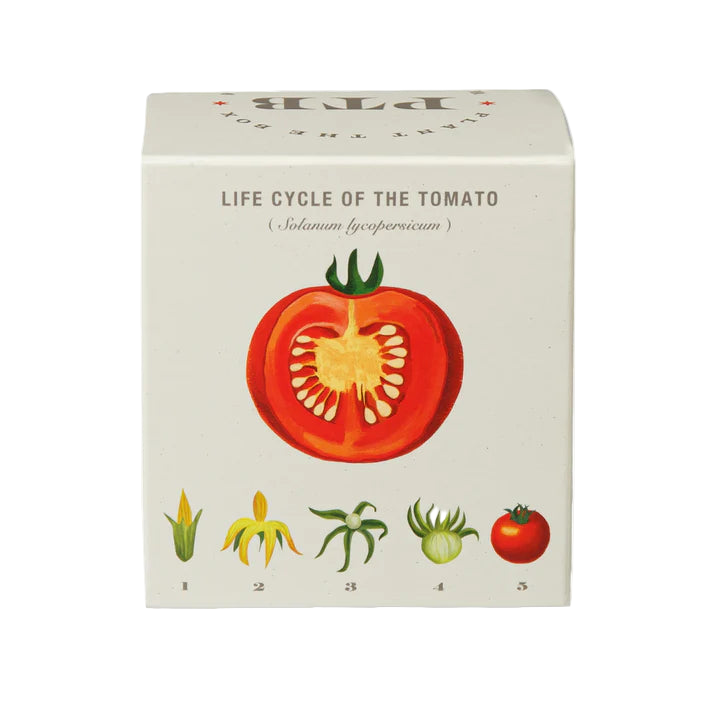 Plant the Box Soy Candle - Wild Tomato Vine