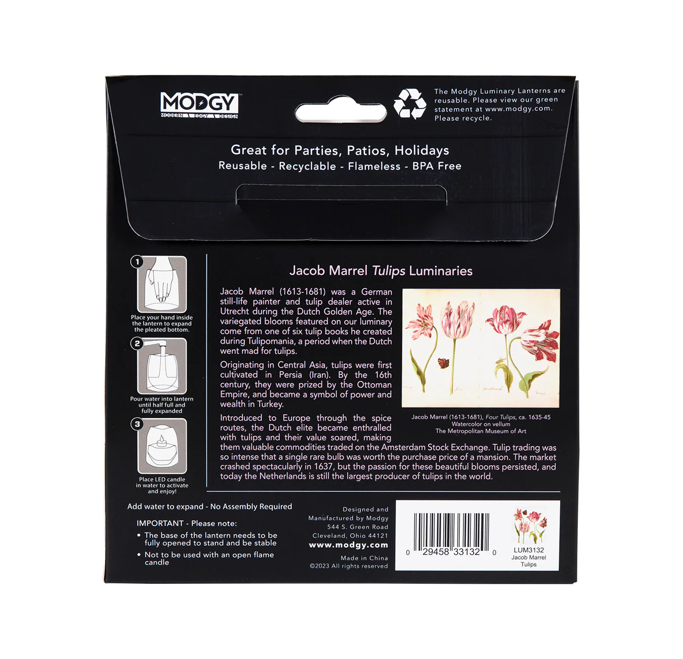 Jacob Marrell Tulips Luminaries