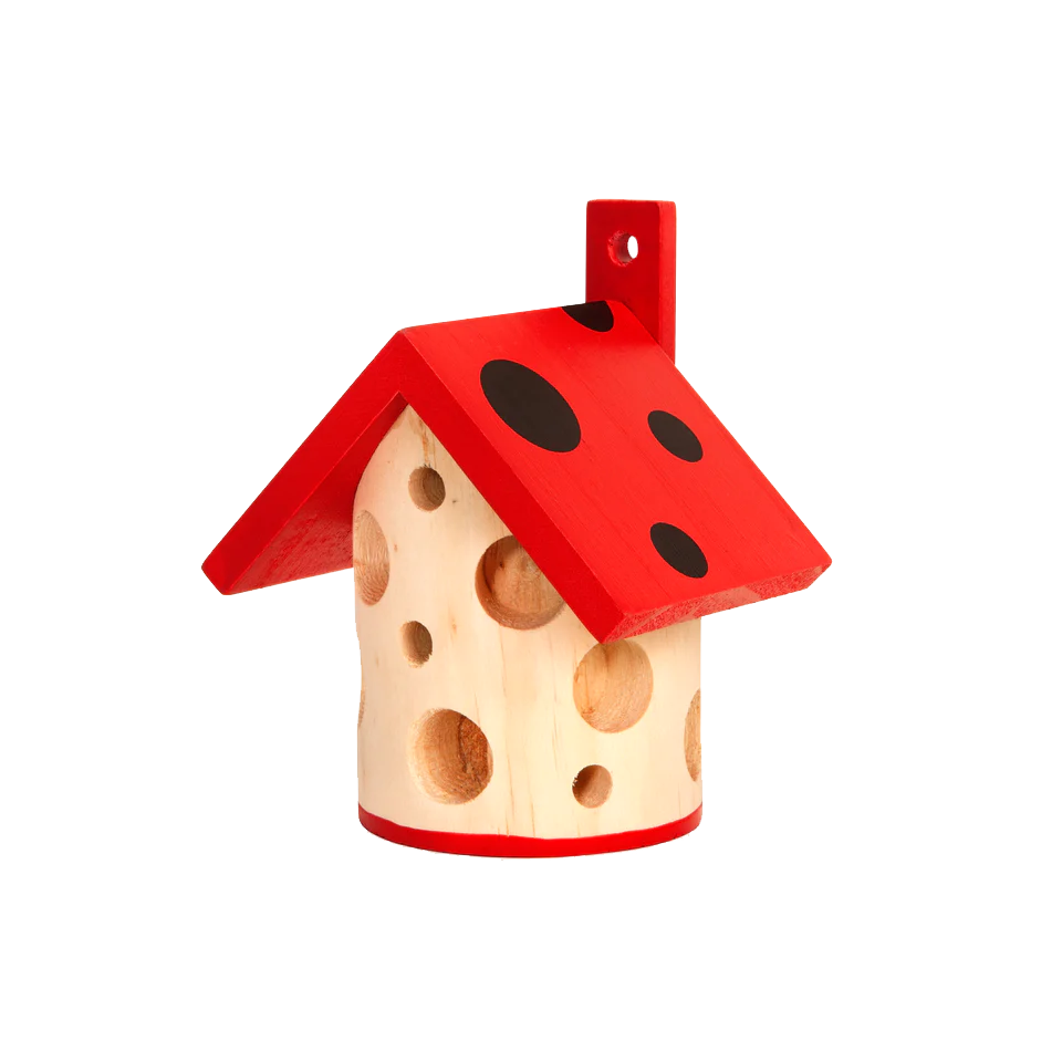 Little Ladybug House