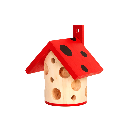 Little Ladybug House