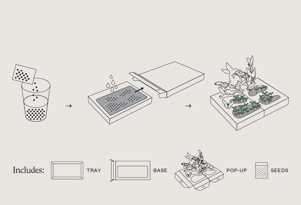 Pop-Up Microgreens Garden