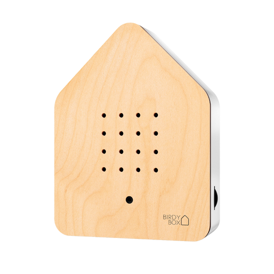 Relaxound Maple Birdybox