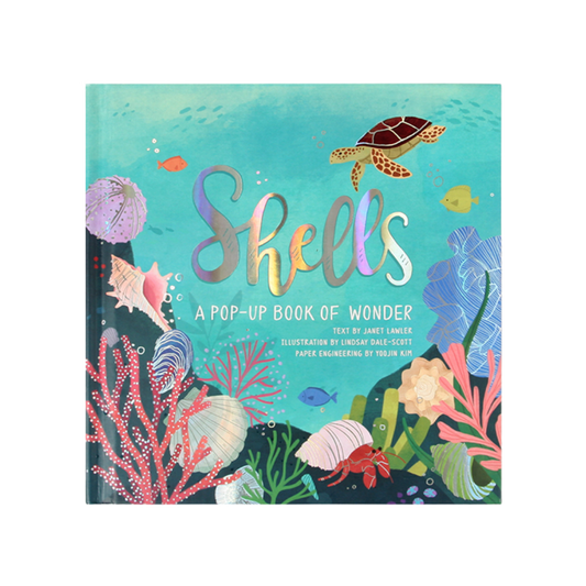 Shells: A Pop-Up Book of Wonder