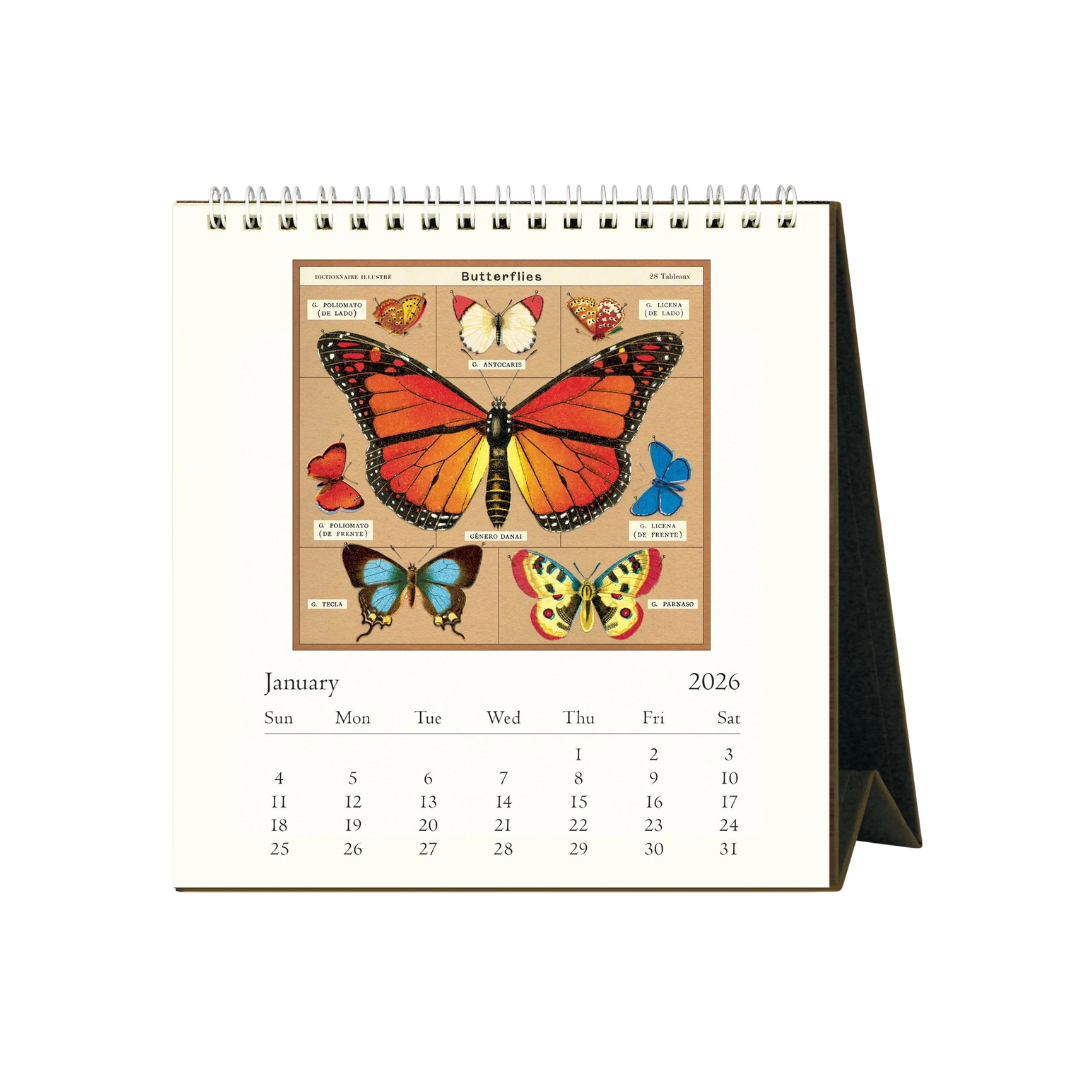 Butterflies 2026 Desk Calendar