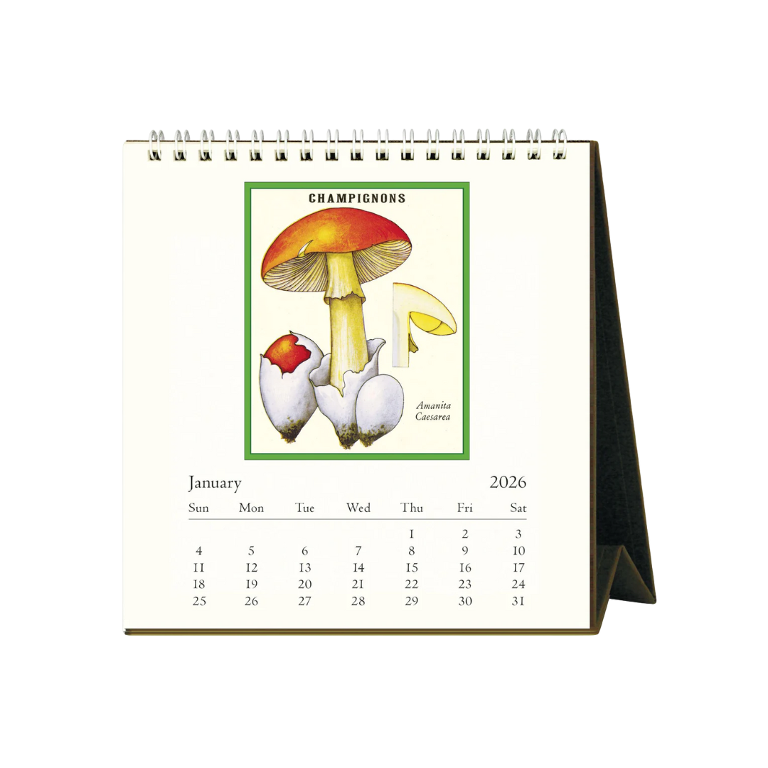 Foraging 2026 Desk Calendar